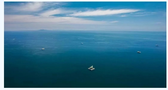 引领深远海养殖工业化新范式｜经海深海虹鳟入选“海洋牧场产品生产典型案例”