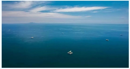 十四五项目组在烟台经海海洋渔业有限公司召开项目核心示范基地建设工作研讨会
