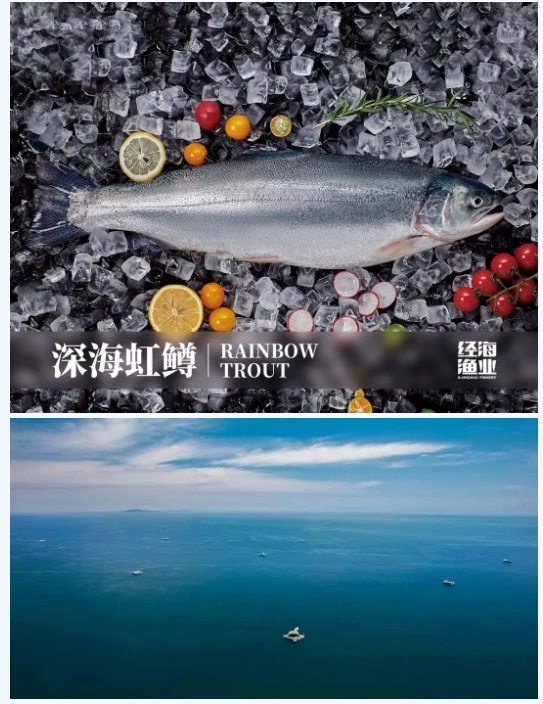 引领鲑鳟产业革新山东省重大科技创新工程“鲑鳟陆海接力全产业链关键技术攻关与应用示范”项目启动会在经海渔业成功召开
