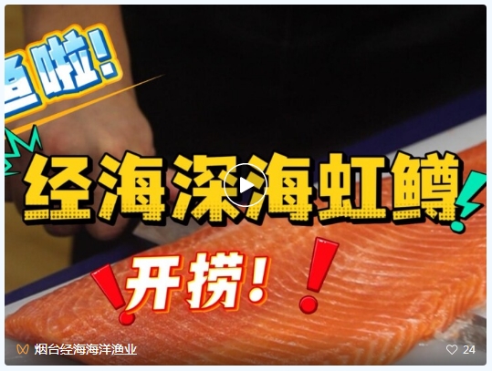 经海深海虹鳟全城开售｜长岛南隍城岛，烟台人自家的深海好鱼！烟台五区门店鲜切鲜享！