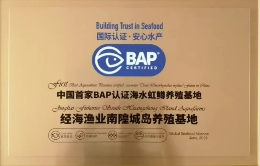 经海渔业南隍城岛养殖基地顺利通过BAP年度复审|2026年BAP新证继续护航经海深海虹鳟